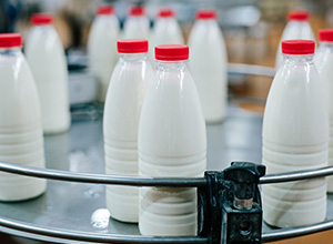 Очистка сточных вод предприятий молочной промышленности